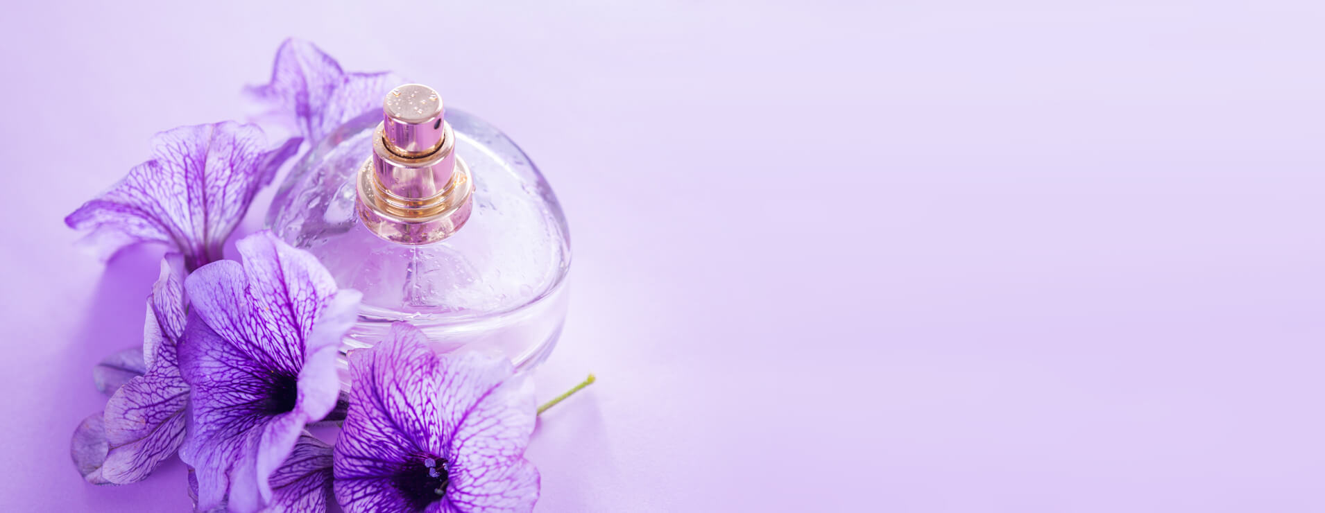 Harbanatura – Sănătate cu ingrediente naturale